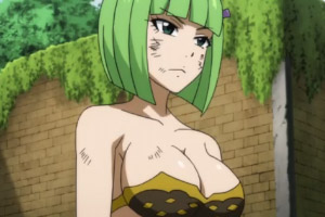 Хвост Феи 308 (3 сезон 31 серия)